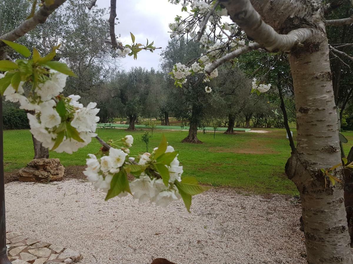 Masseria Pisciani Torchiarolo Kültér fotó