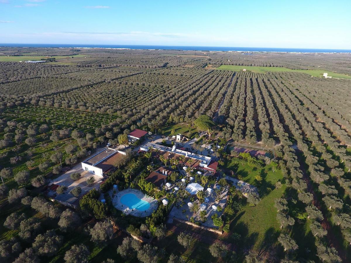 Masseria Pisciani Torchiarolo Kültér fotó