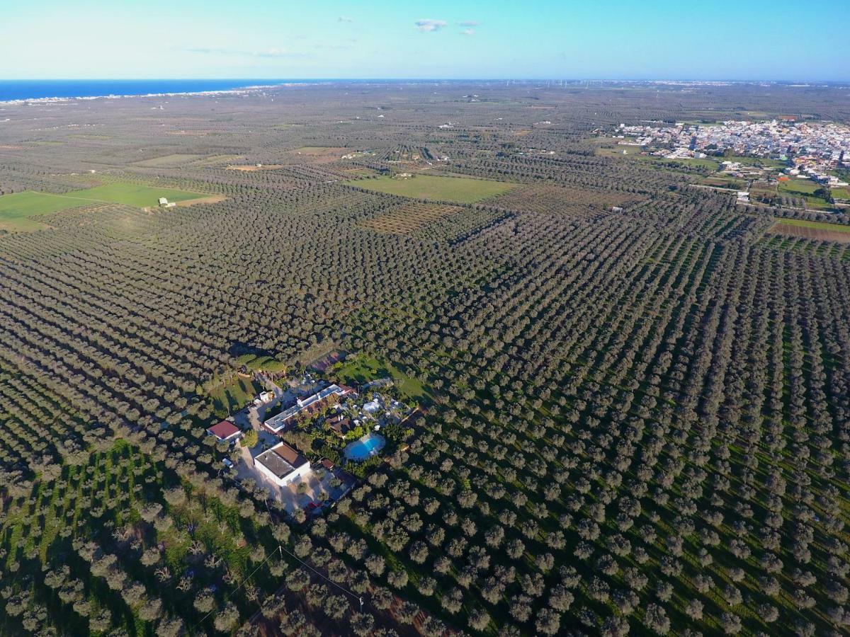 Masseria Pisciani Torchiarolo Kültér fotó